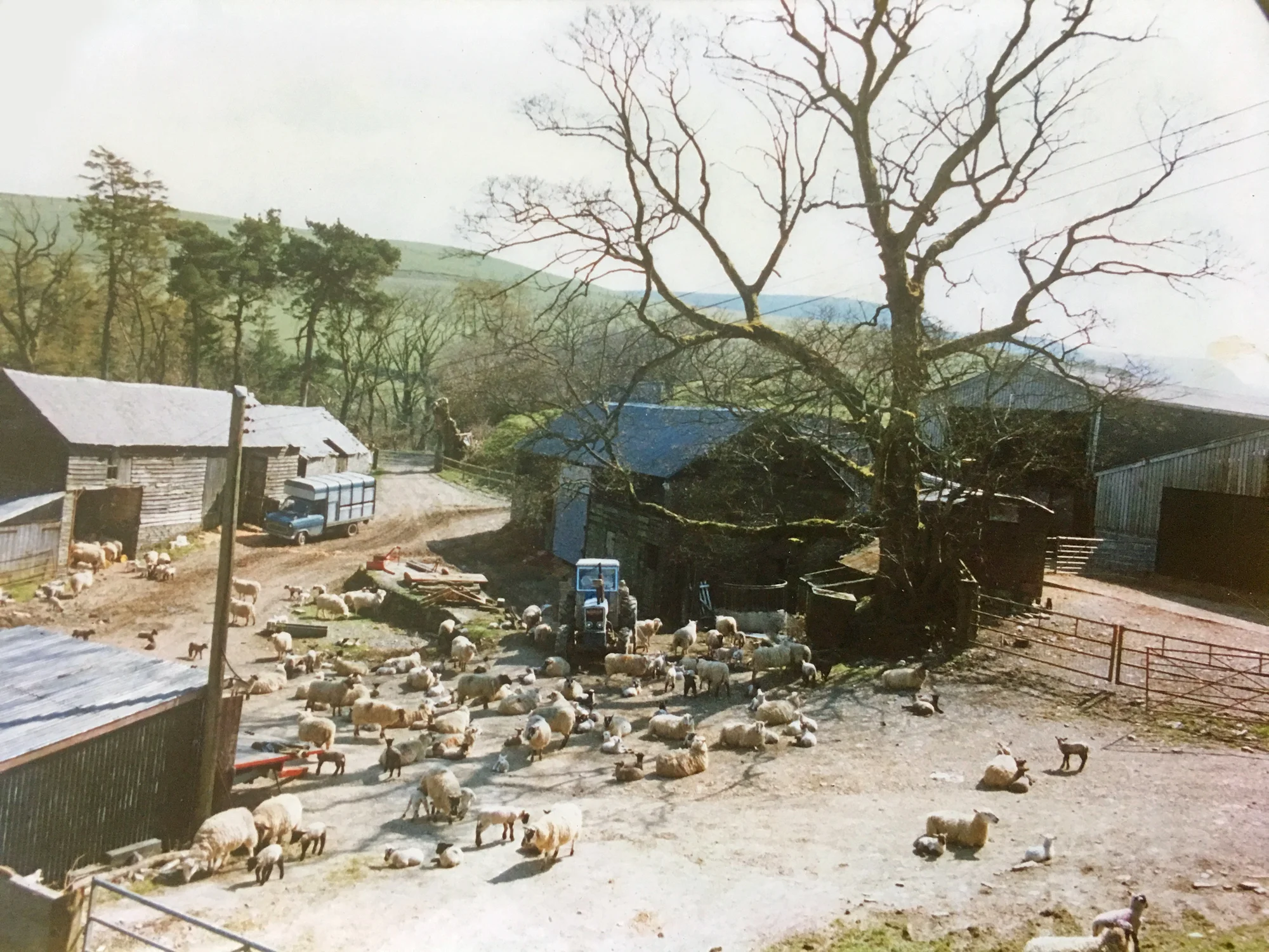 the farmyard as a working farm in 1988