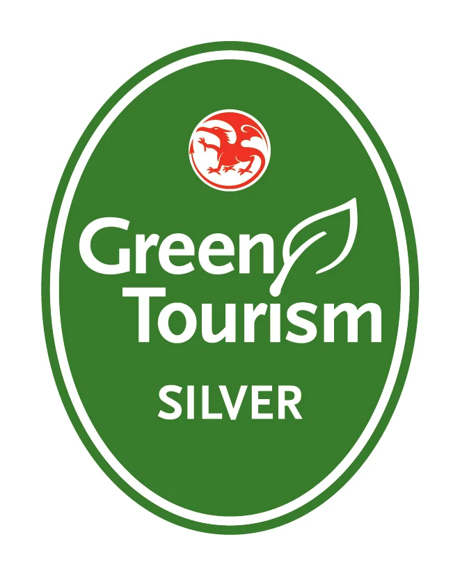 GT Wales Silver.jpg