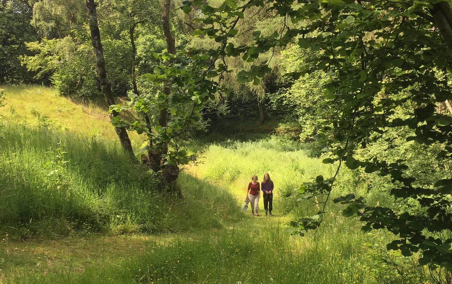 woodland walk lower part with 2 figures landscape.jpg