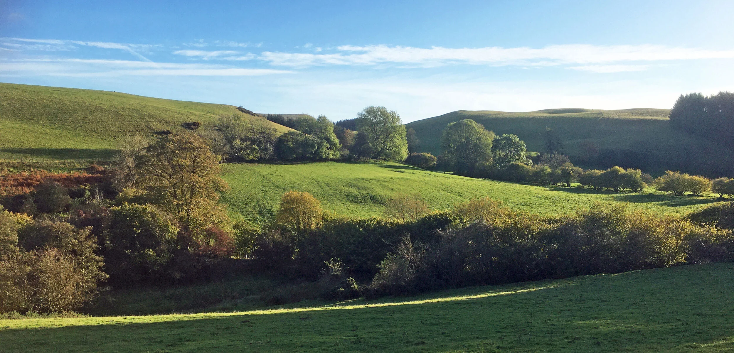 wide-autumn-sunshine-view-to-Radnor-Forest-Oct-19.jpg