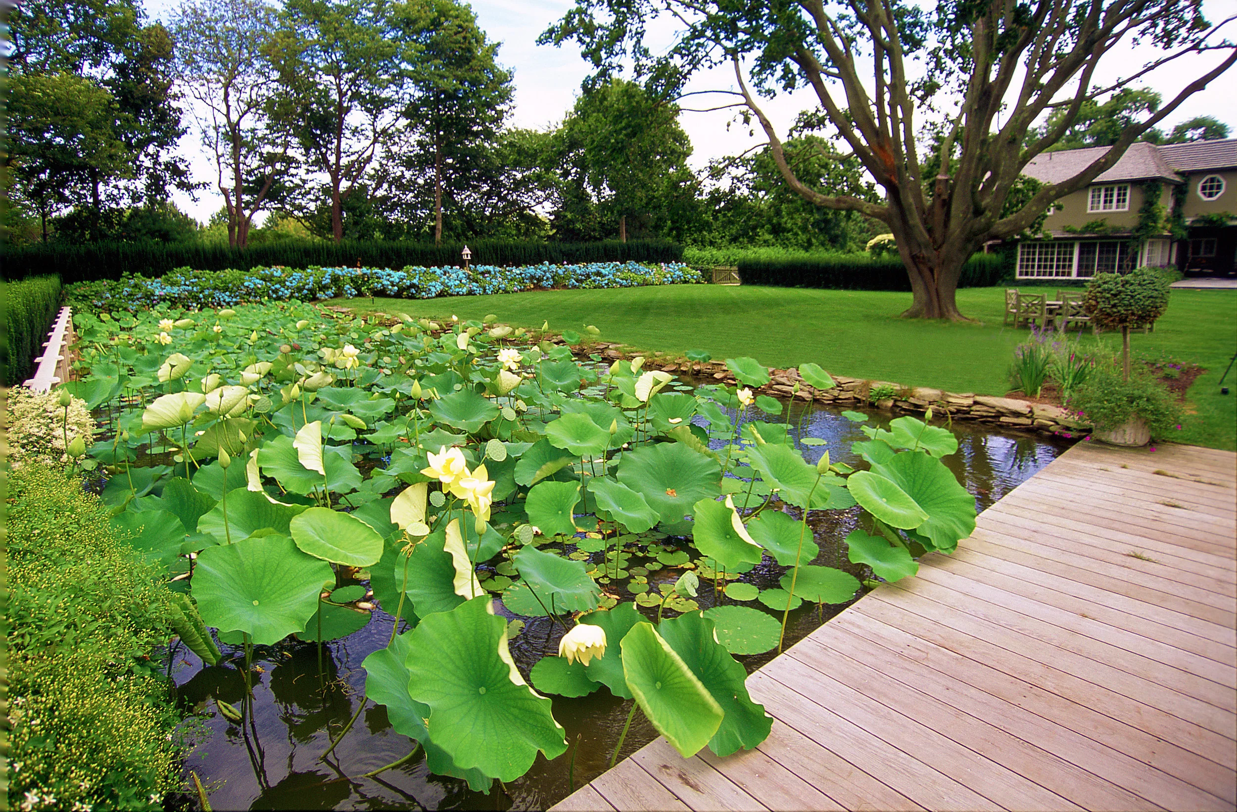 01-080-pond_Water Garden_fix.jpg