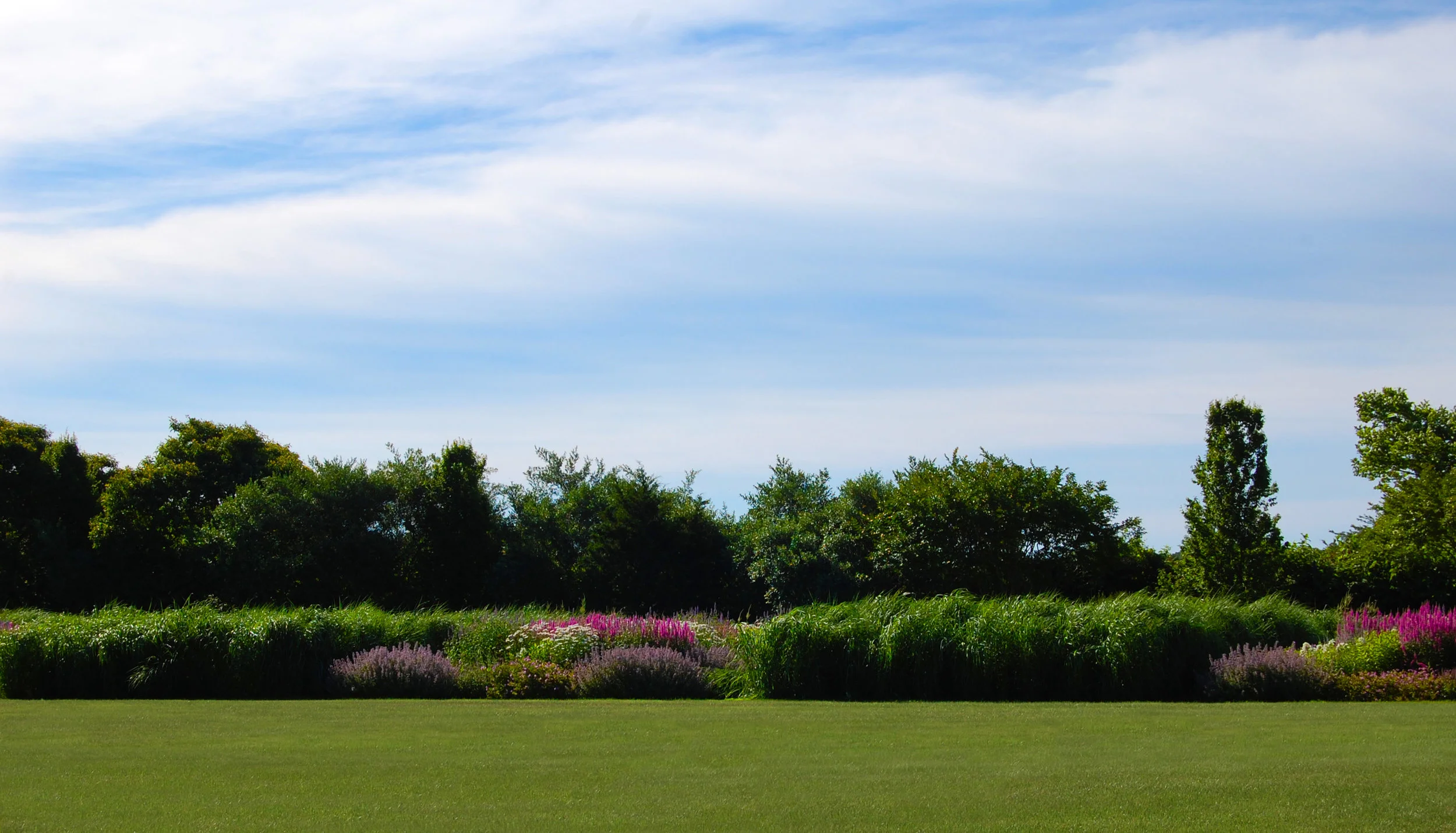 DSC_0050_RT_Cropped.jpg
