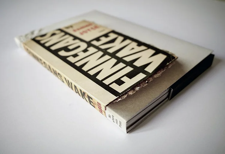 Reading Finnegans Wake — XIMENA PEREZ GROBET