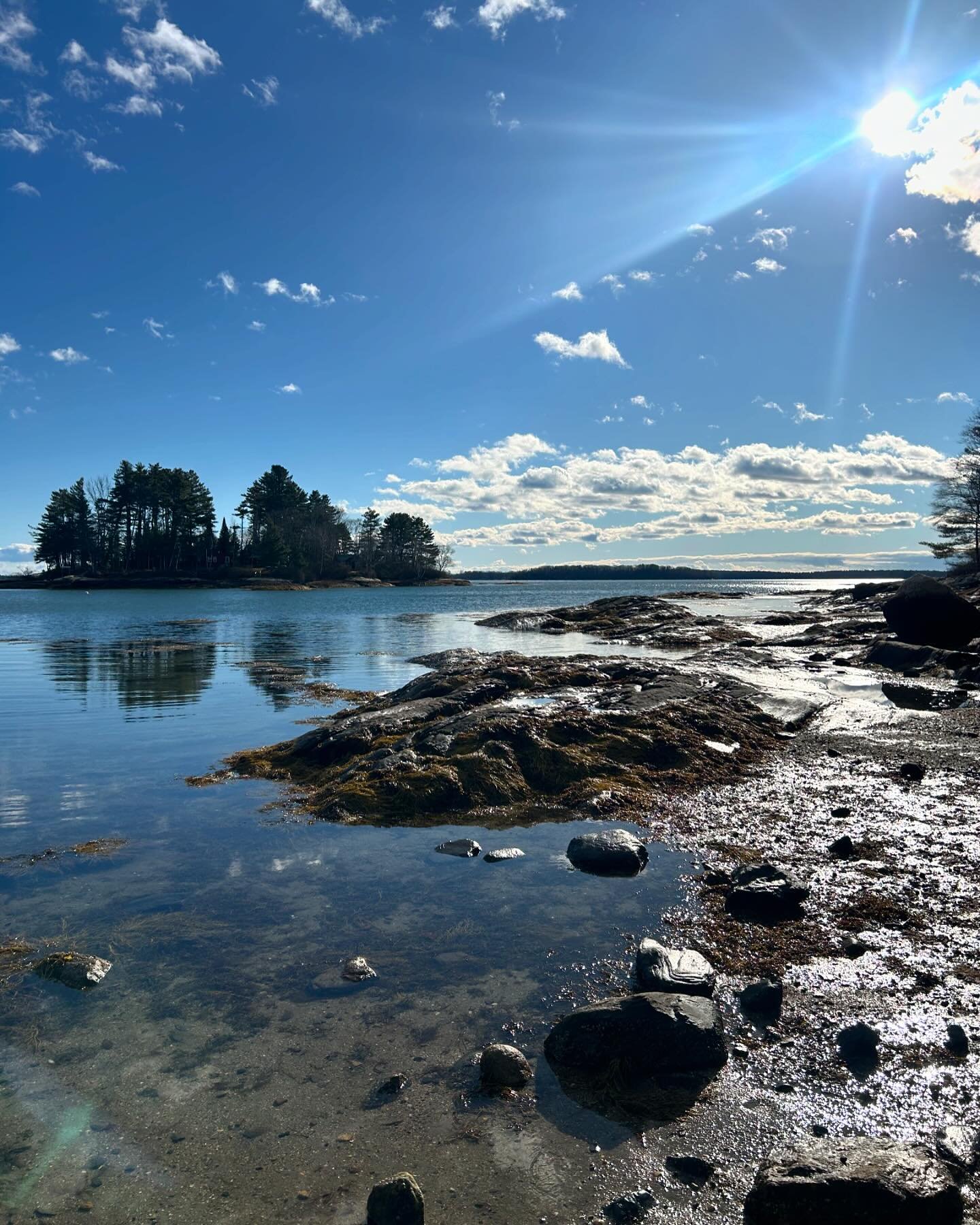 Maine ✨