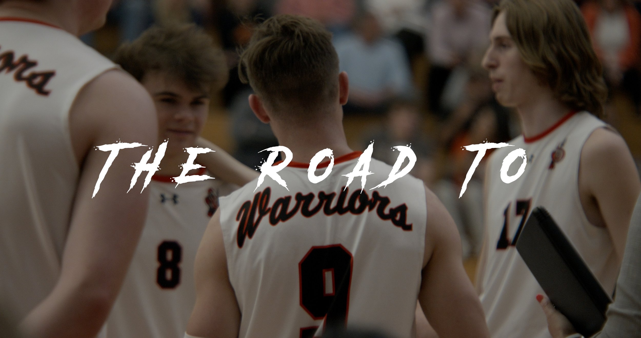 The Road to...Lincoln Way West Boys Volleyball