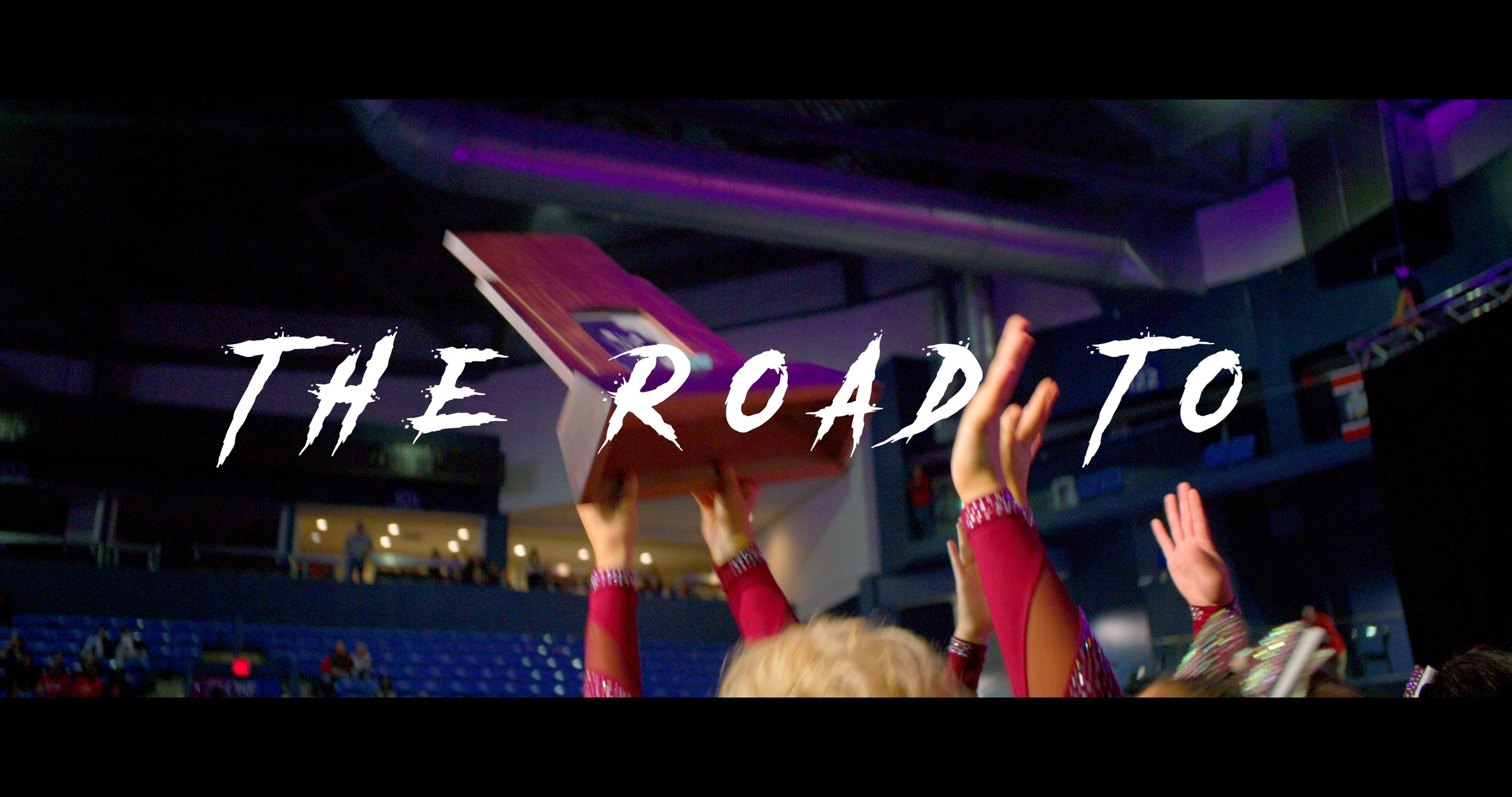 The Road to...State (Lockport Cheer 2024)