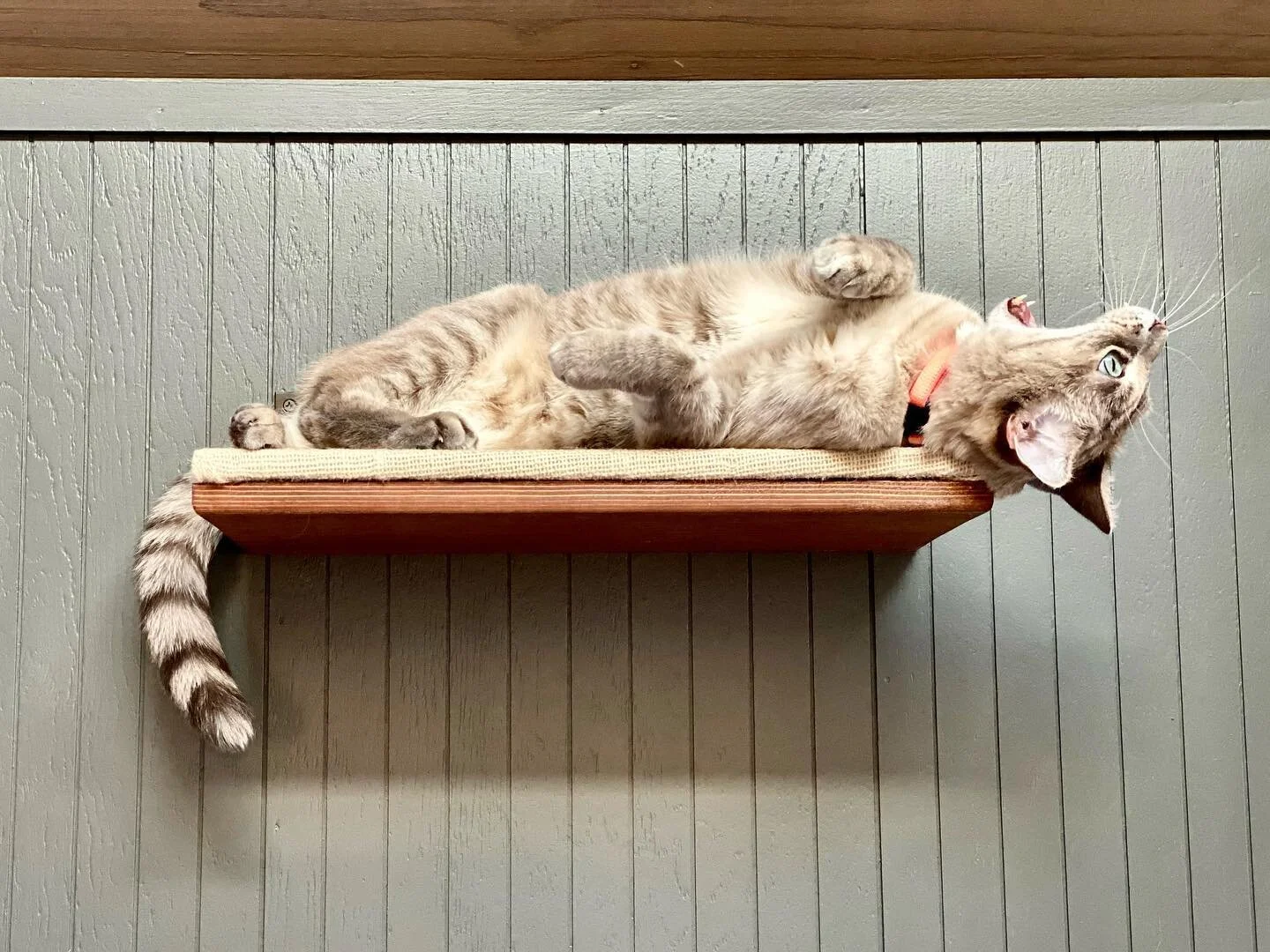 When you thought 2021 was gonna be any better ... #2020continues