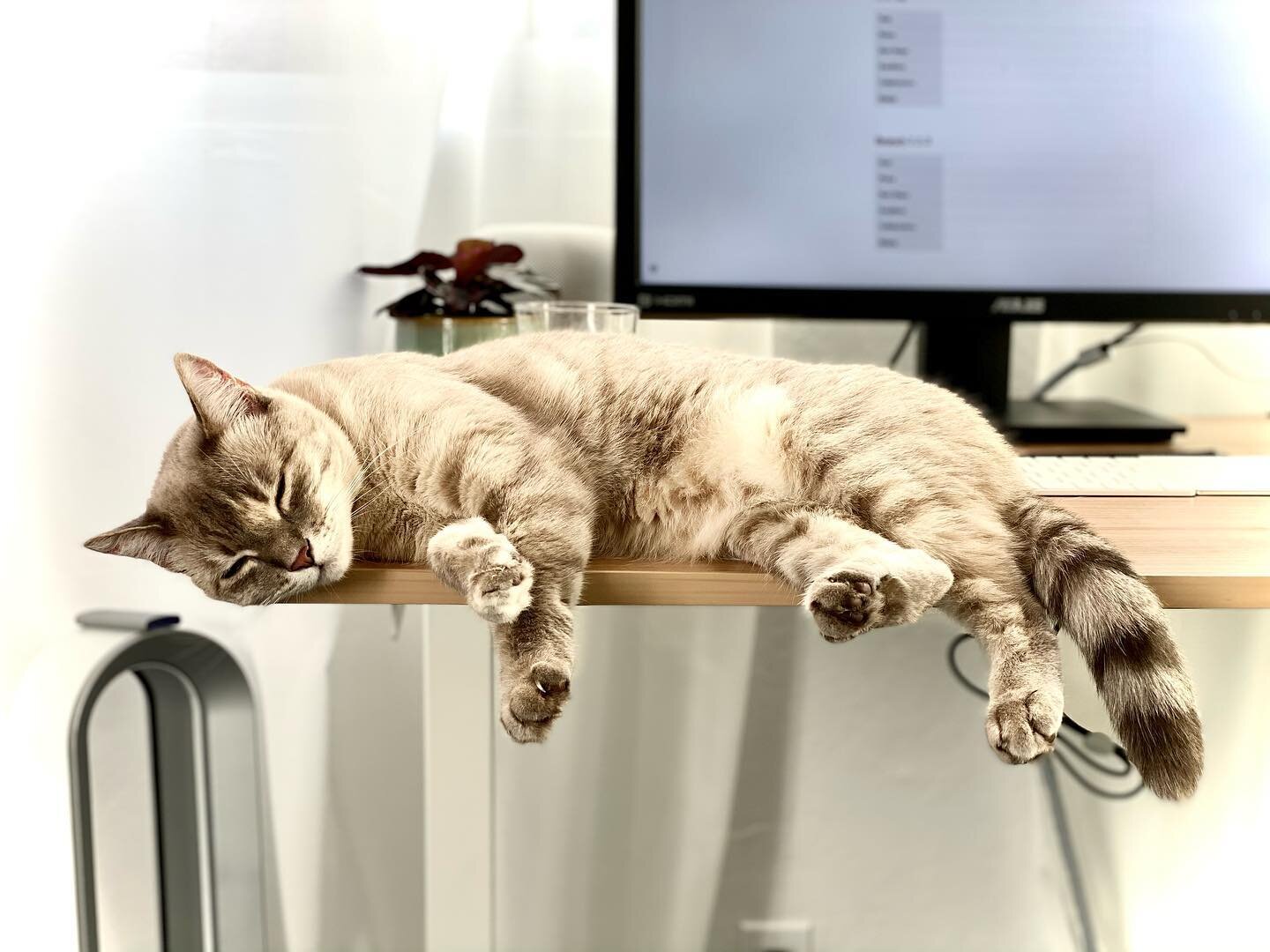 Guess this means it&rsquo;s the weekend #itstheweekend