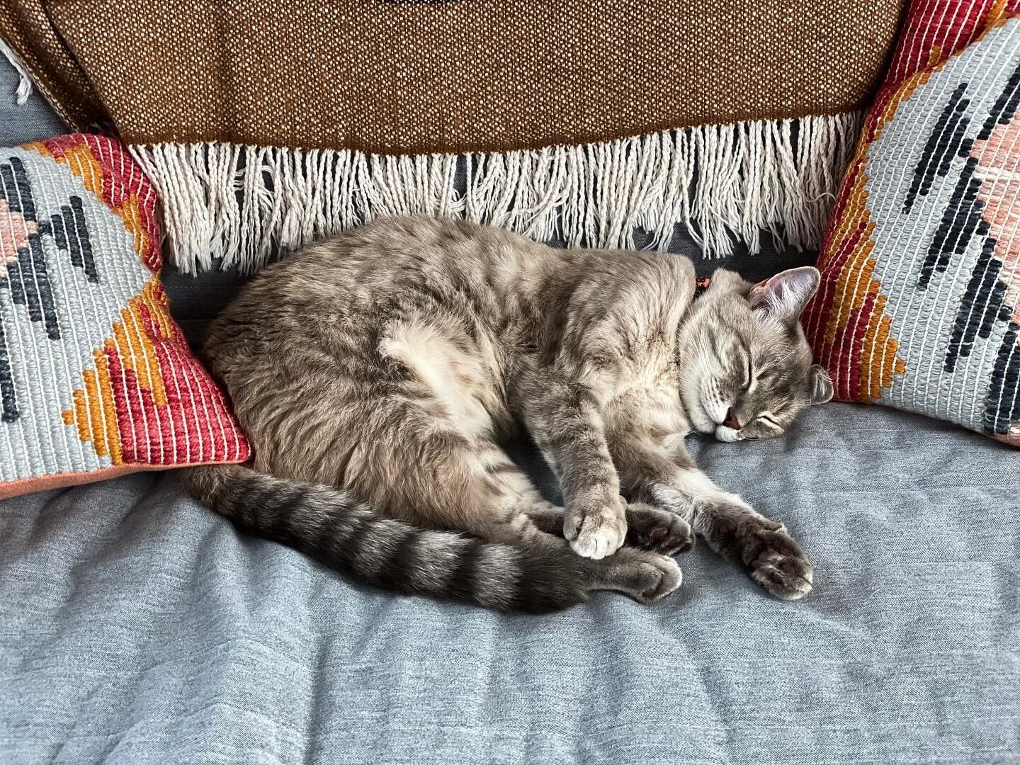 Crashing video calls all day is exhausting