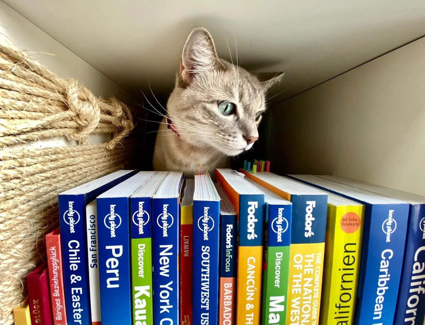 She&rsquo;s picking our post-covid vacation destination because she&rsquo;s sick of us being home all day every day