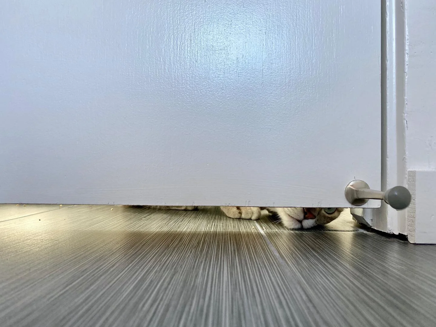 Closed doors are unacceptable #curiouscat