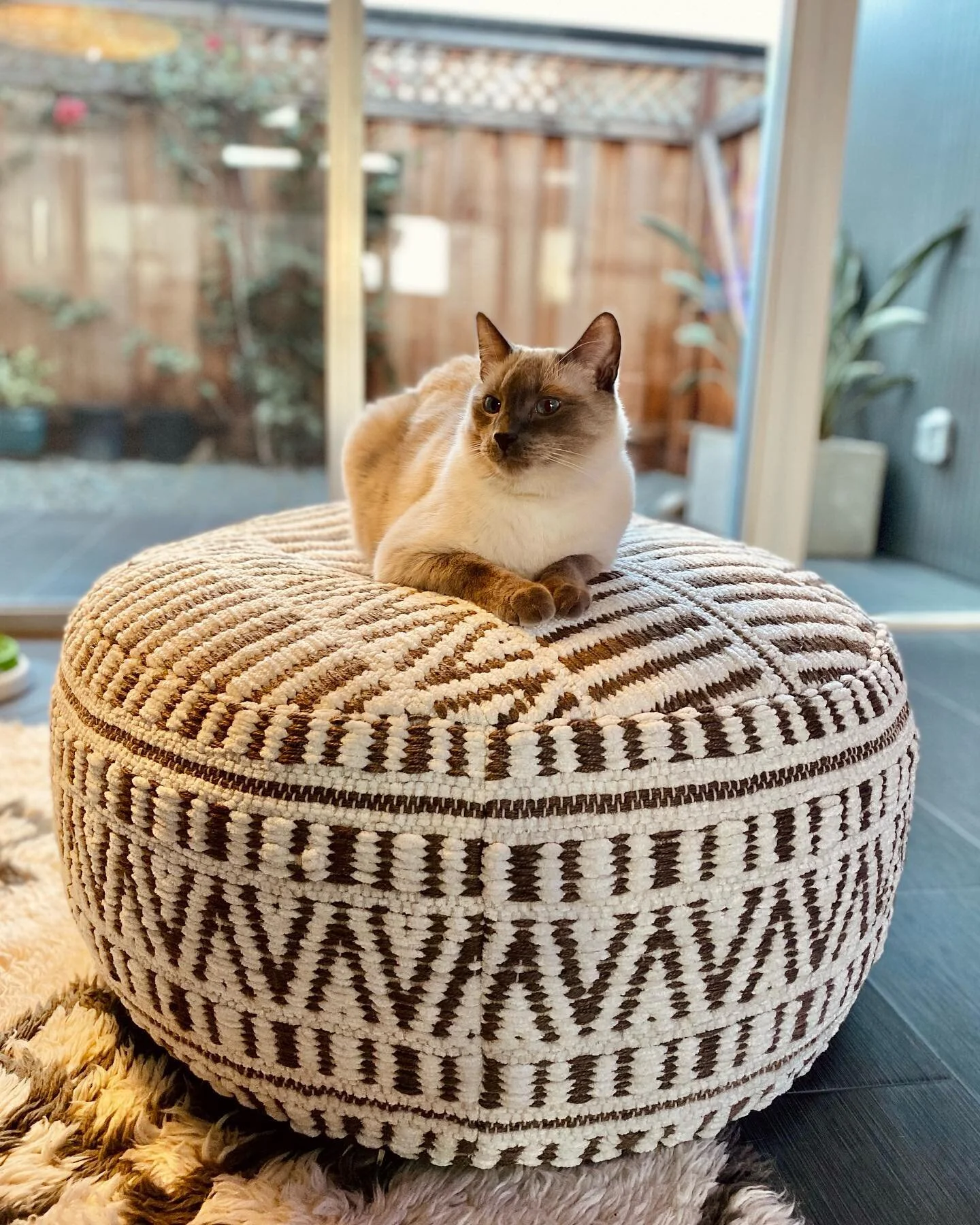 King Keanu and his royal pouf 👑