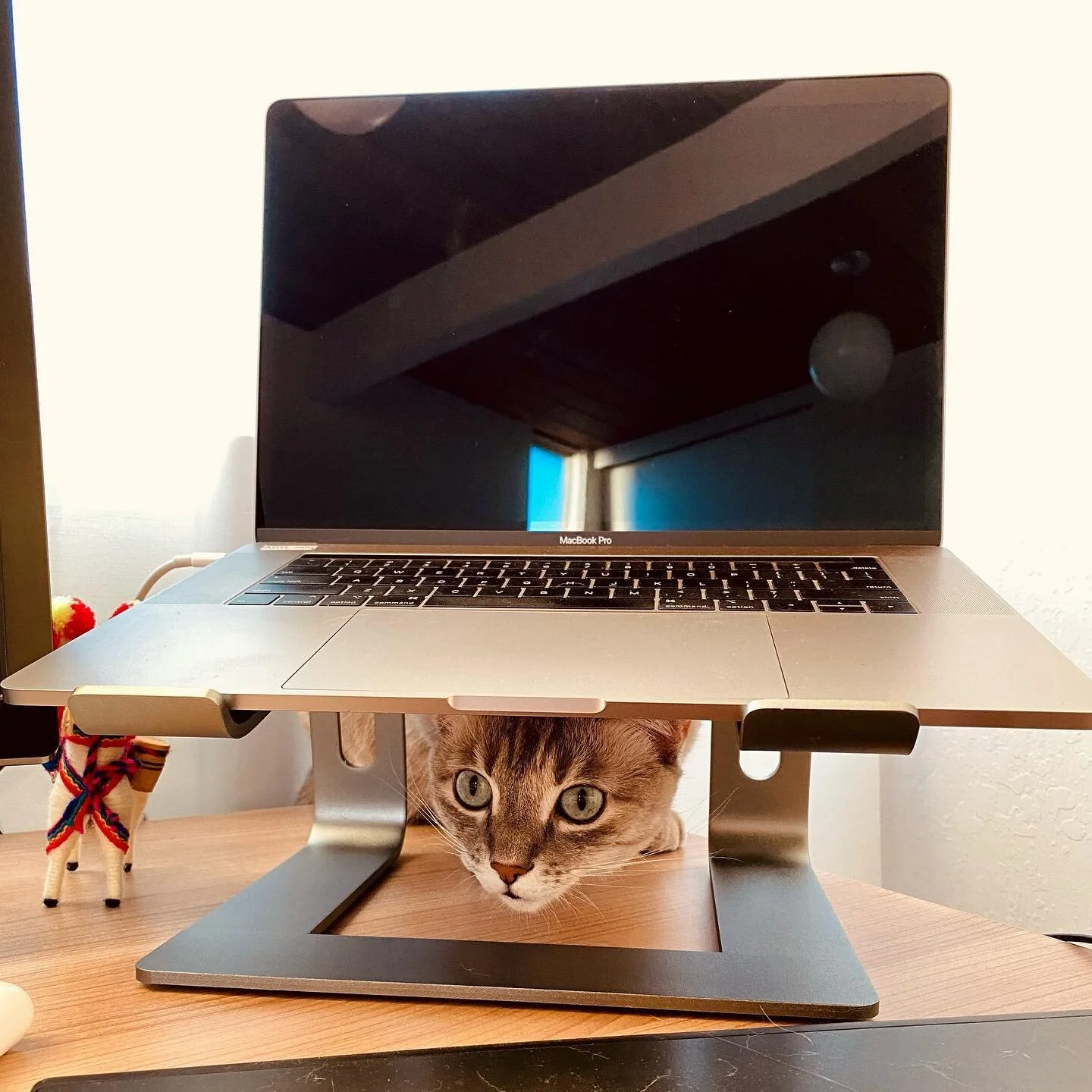 Little spy 🕵️&zwj;♀️