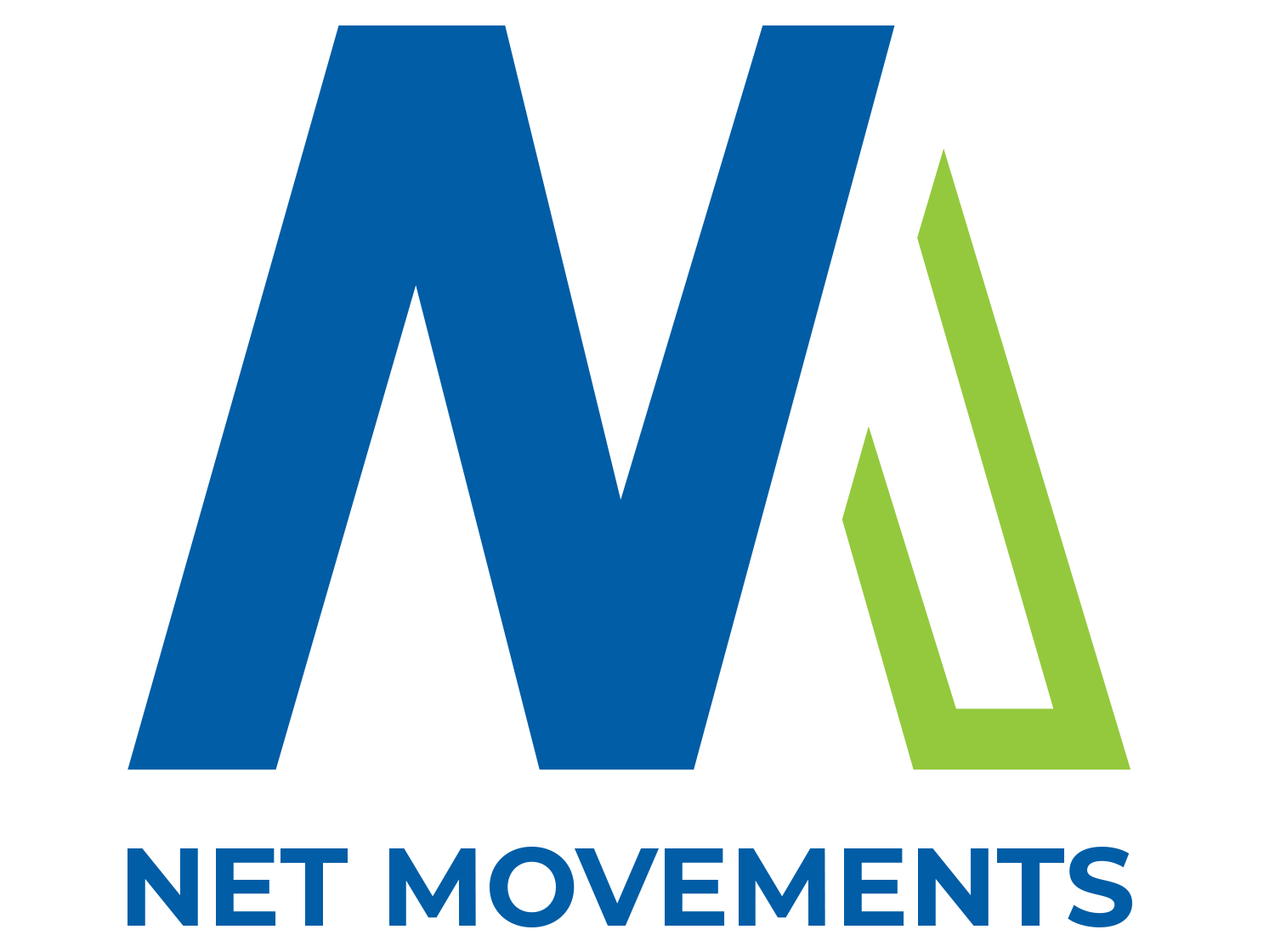 NetMovements - Professional IT Services