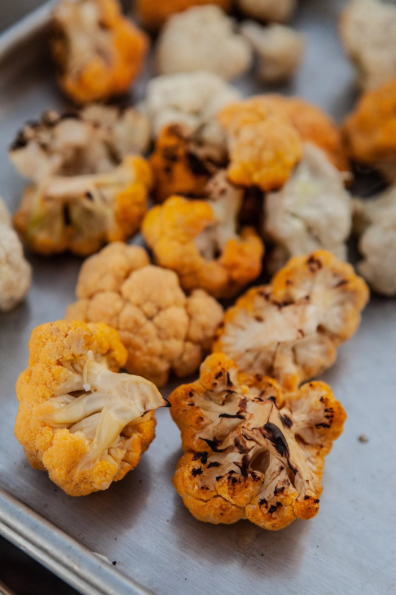 Farm Dinner 2018-027.jpg