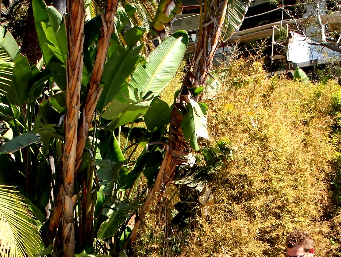 7 Green Hacks for the Modern World