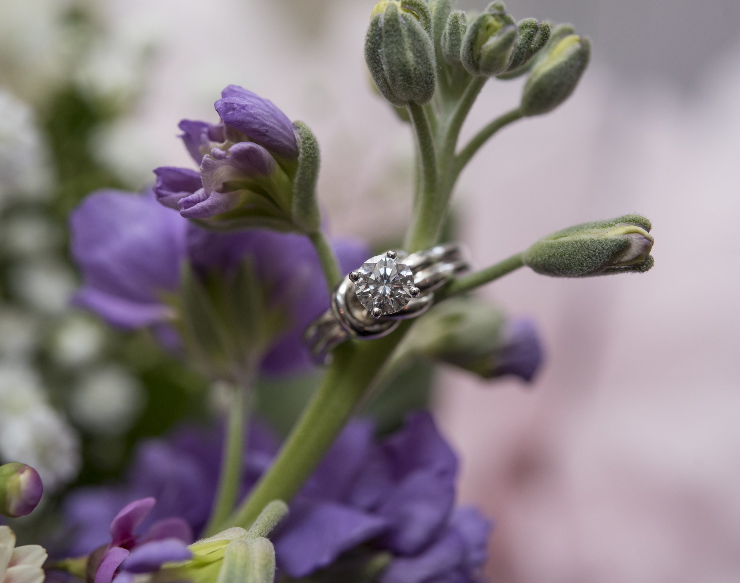 new jersey wedding photographer