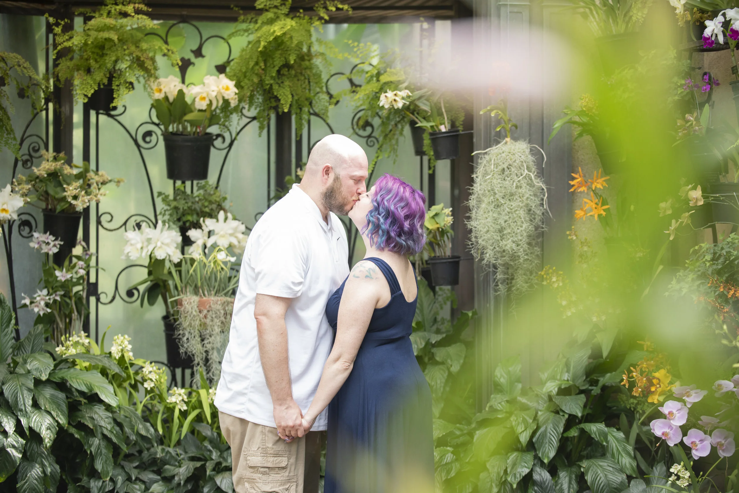longwood-gardens-proposal.jpg