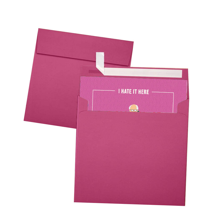 bernie envelopes.jpg