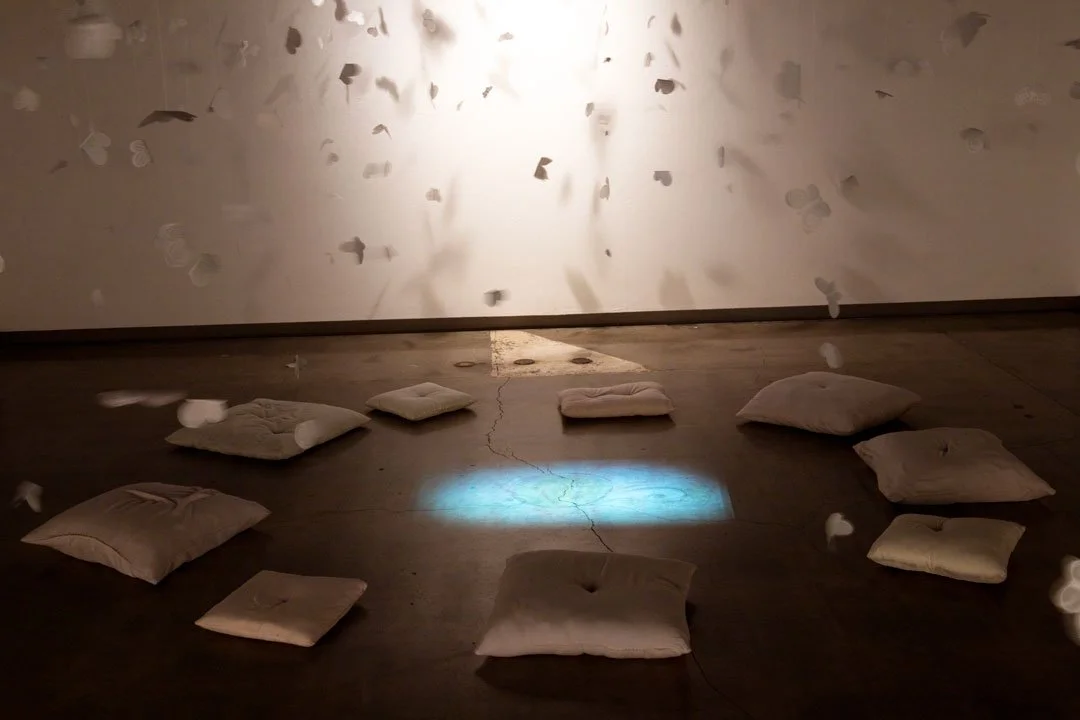 wynnbarnard_thesis_edited_cushions_4712.jpg