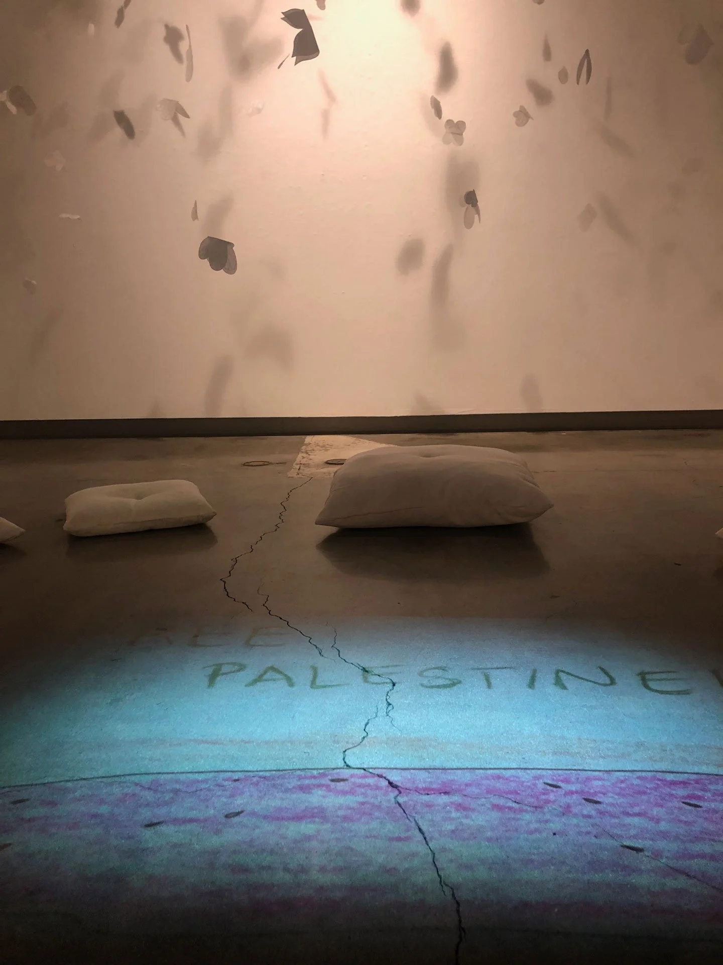 thesis_projection-palestine_web.jpg