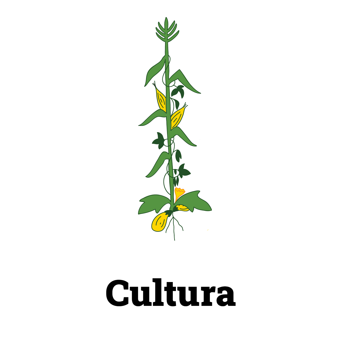To The Roots Brand Illustration | 2021