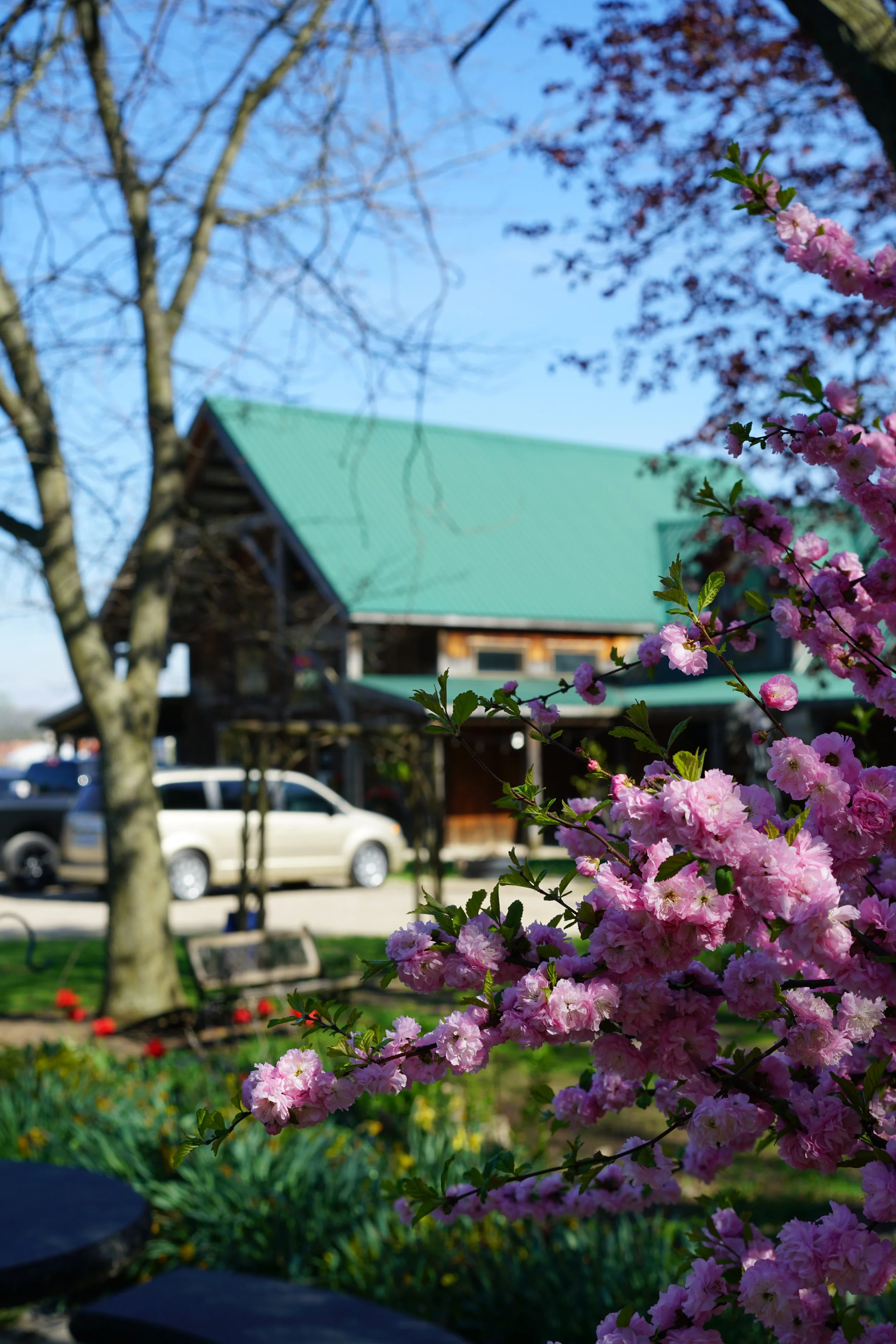 Spring 2019