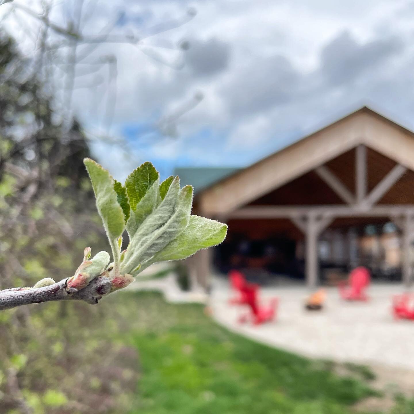 TGIF!

Don&rsquo;t let the rainy weekend stop you from relaxing at the orchard with a pint in hand. 🍺 

We have the perfect cozy atmosphere underneath our beautiful pavilion to enjoy time with friends and family, while still enjoying everything spri