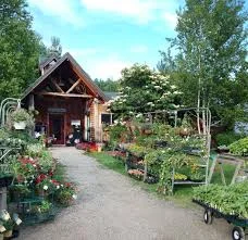 East Branch Organics Keene, NY