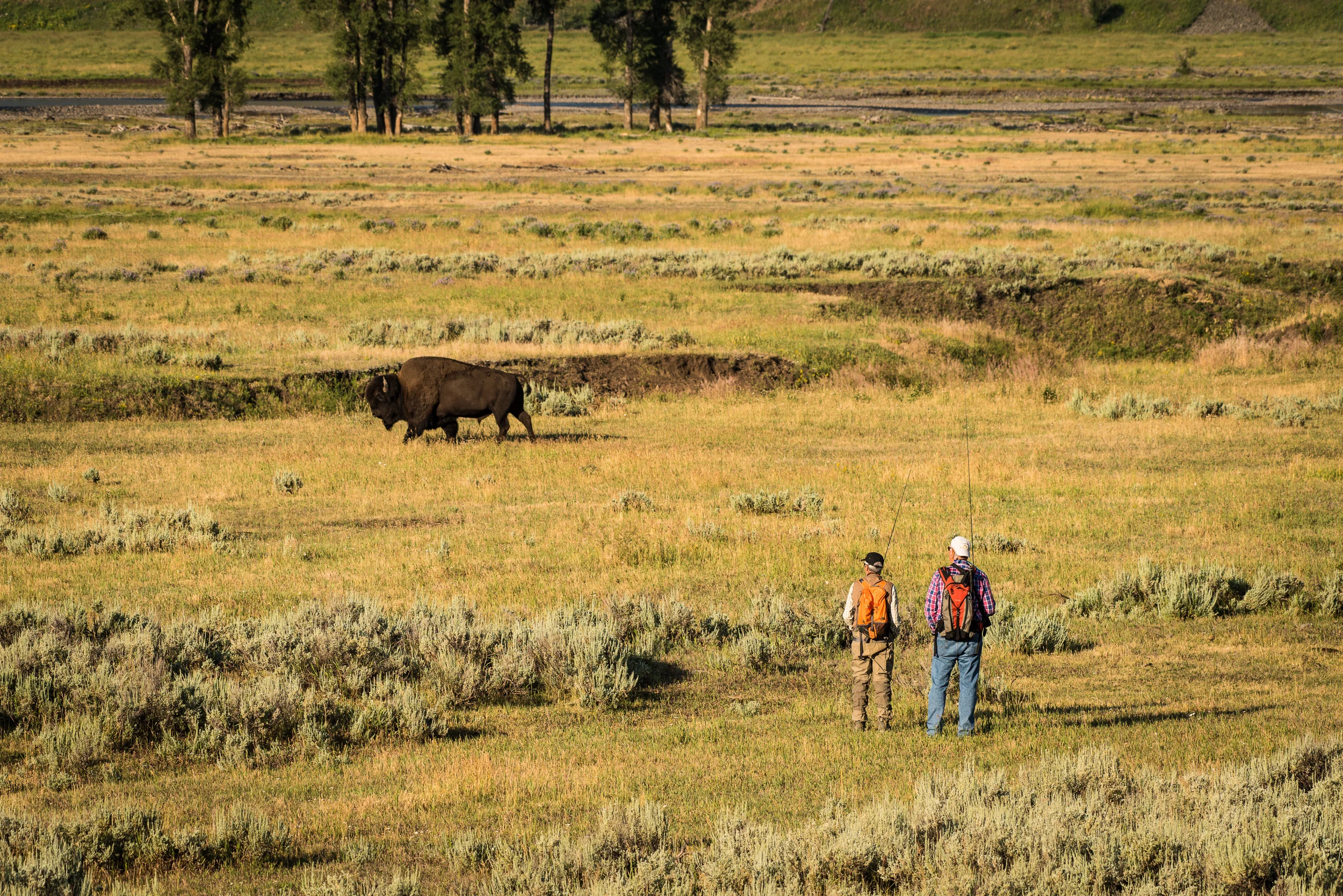 2017-07-22 Yellowstone National Park-5553.jpg