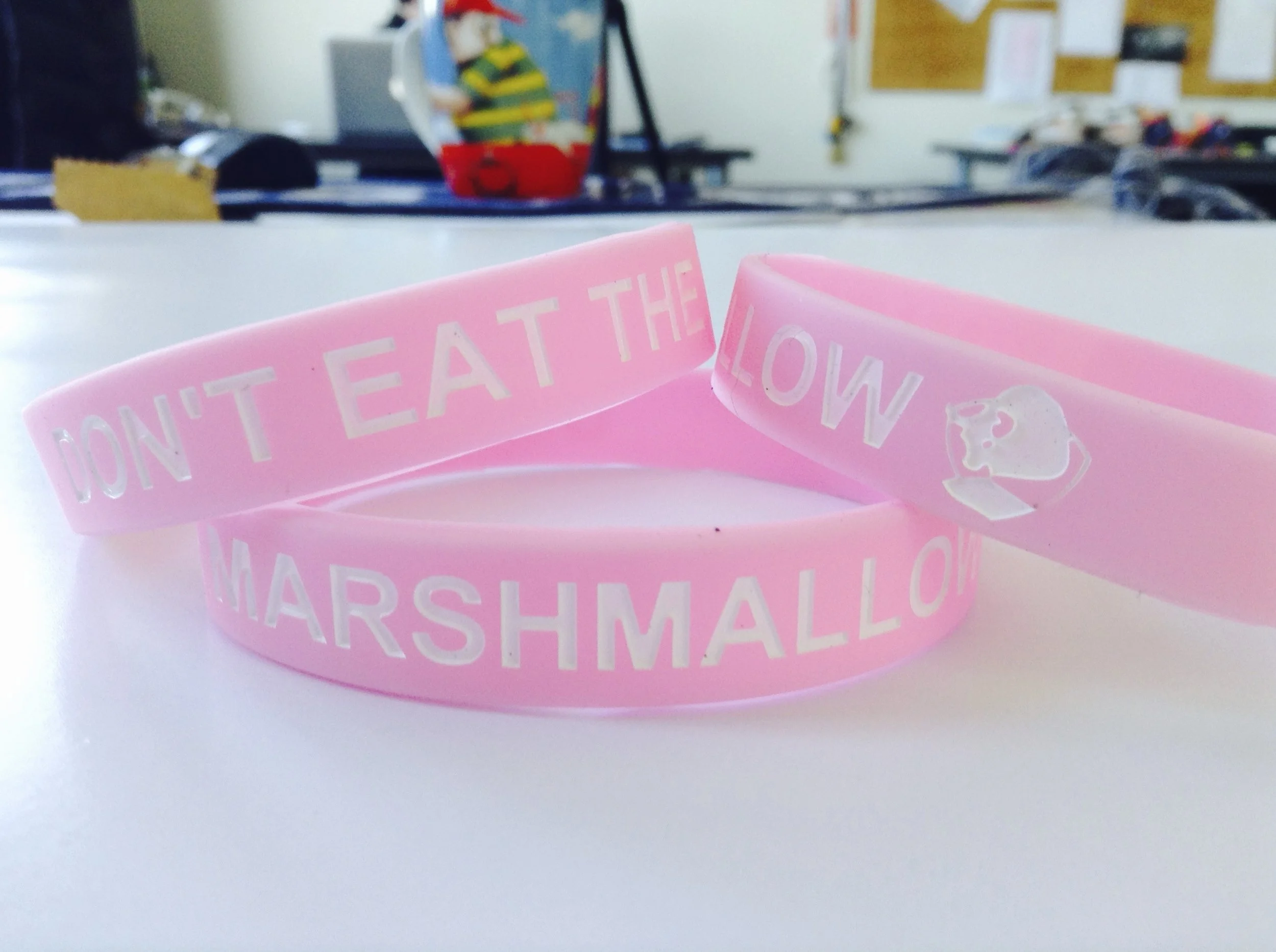 Football Development Paradise, New Zealand