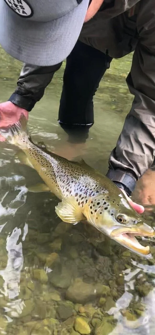 River Culture: On Team Building