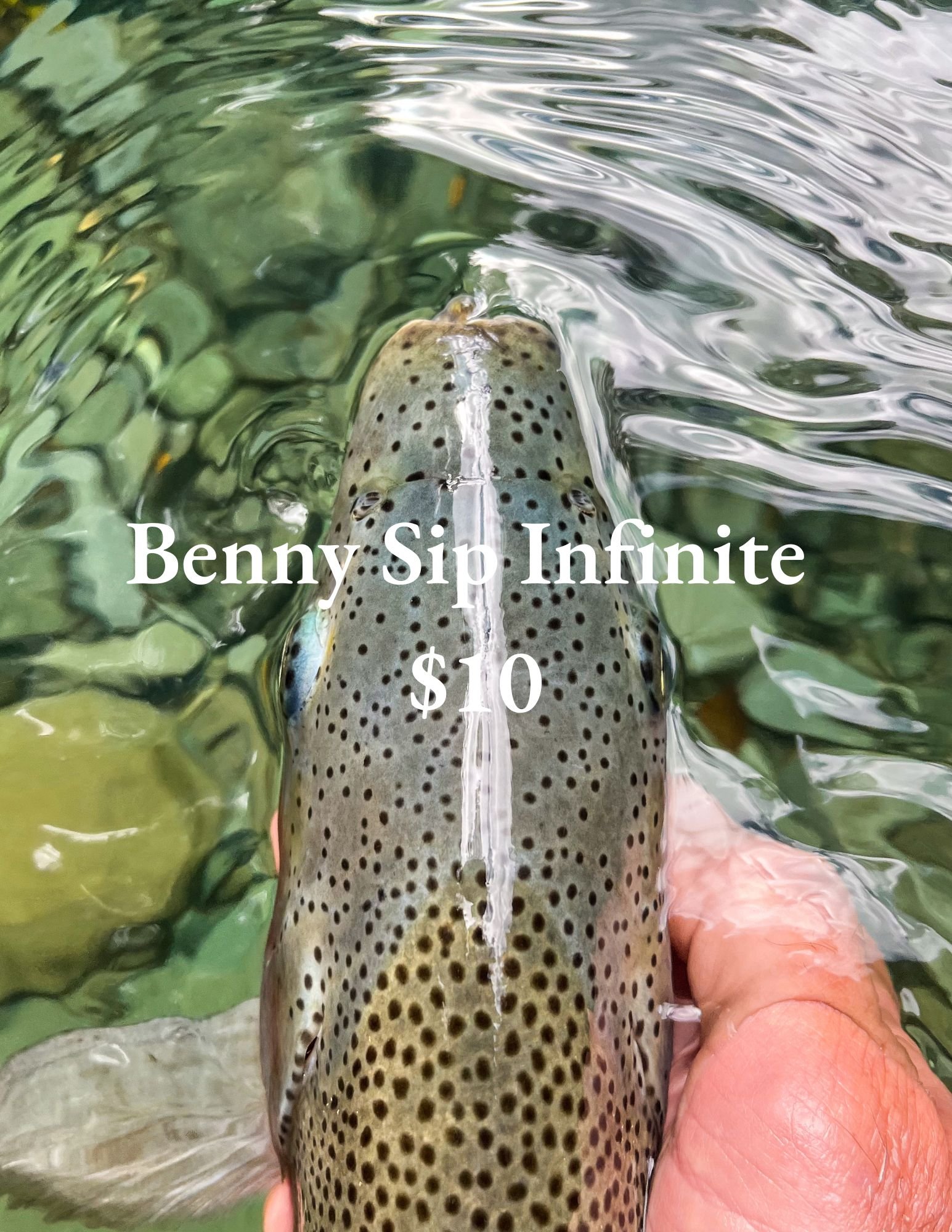 Benny Sip Gift Card $20.00 (1).jpg