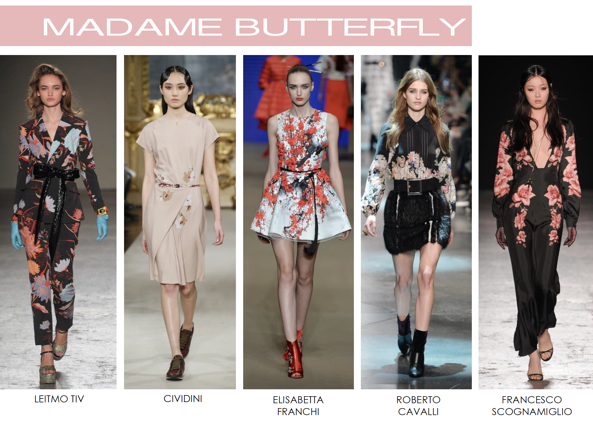  Runway Inspo 