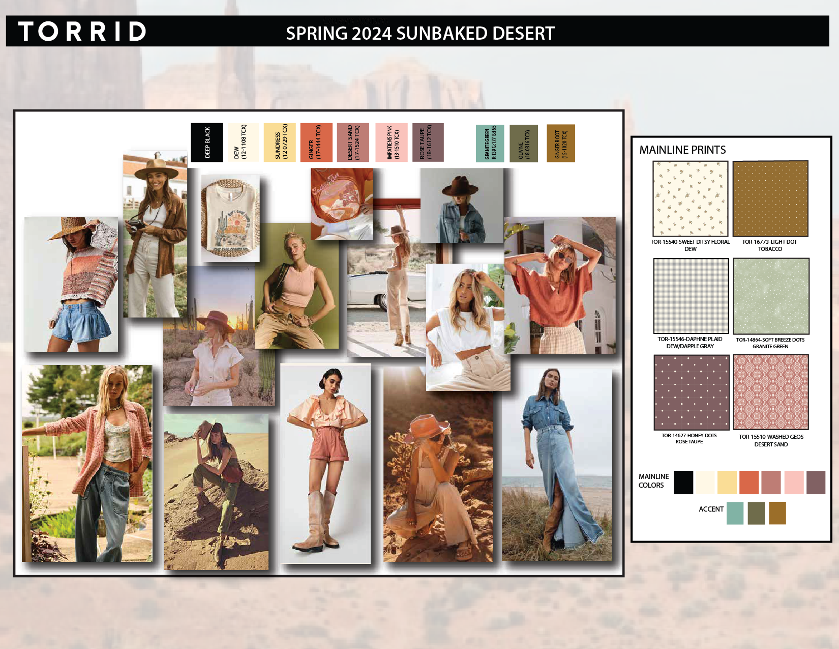  Torrid Spring 2024 Color &amp; Print - Sunbaked Desert 