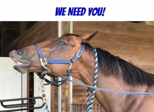 all pet supplies & equine center