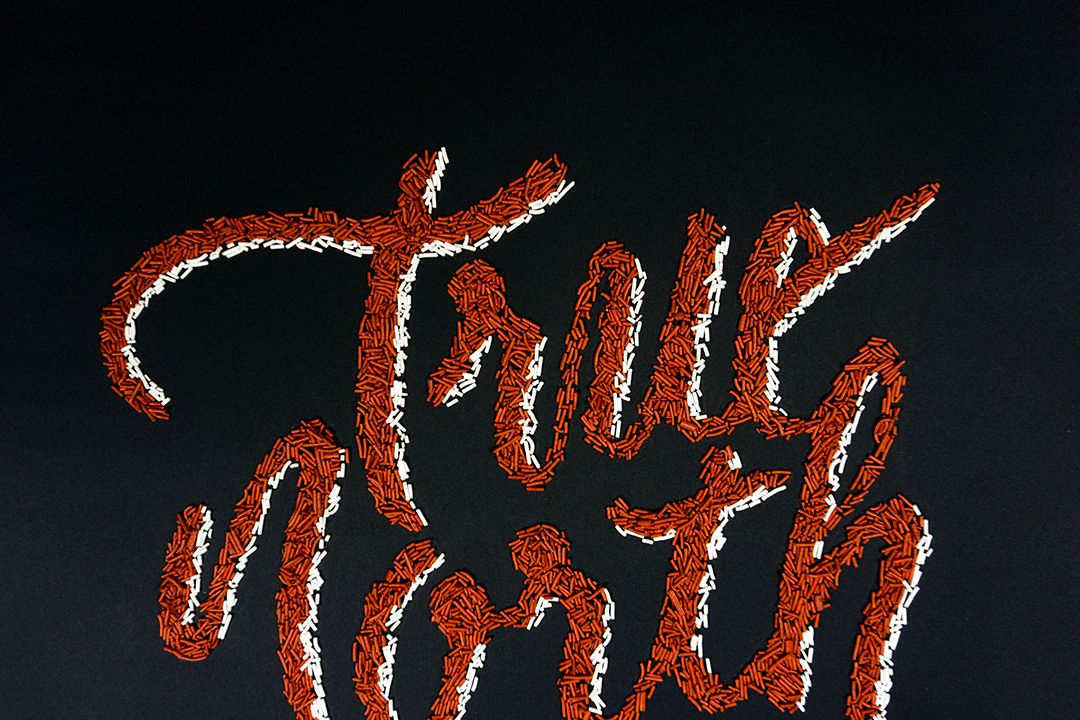 truenorth-detail1-web.png