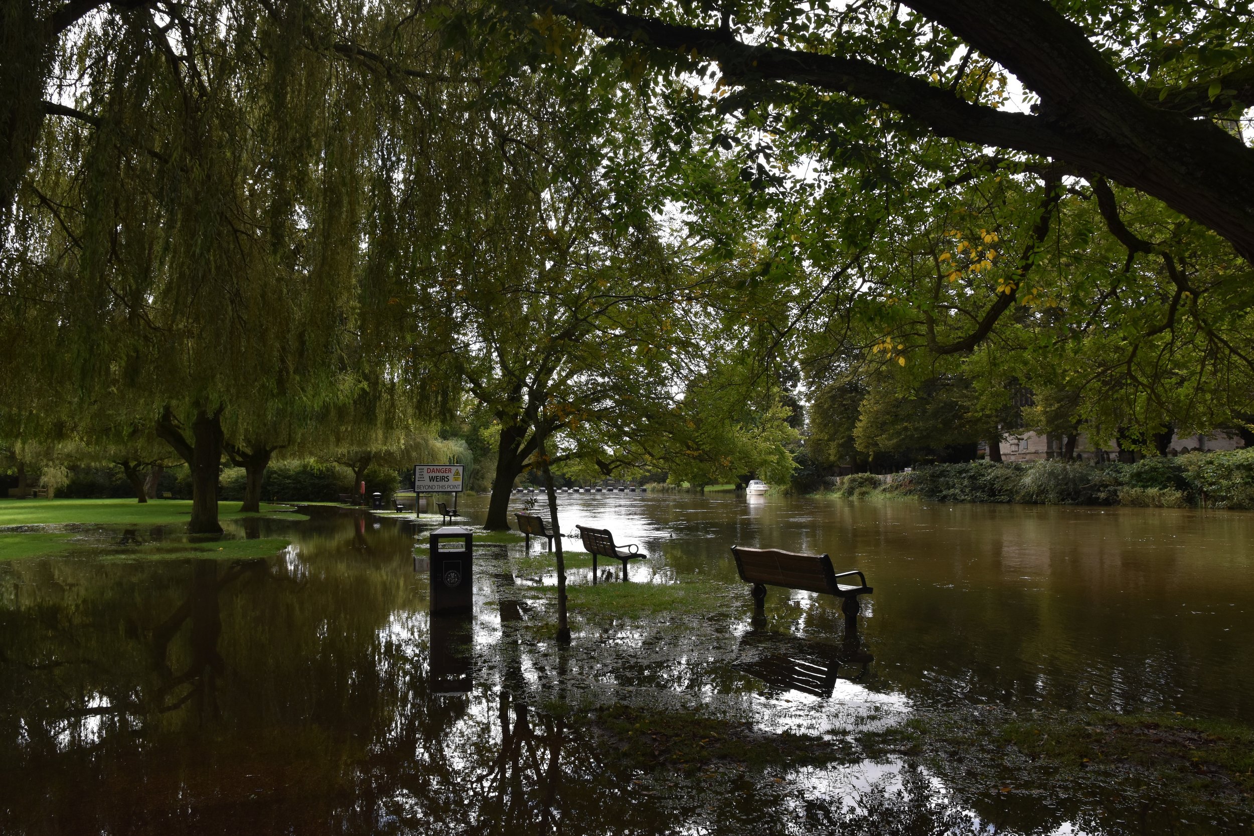 2024: The Year the Global Climate Exceeded 1.5°C – A Call to Action for Organisational Adaptation