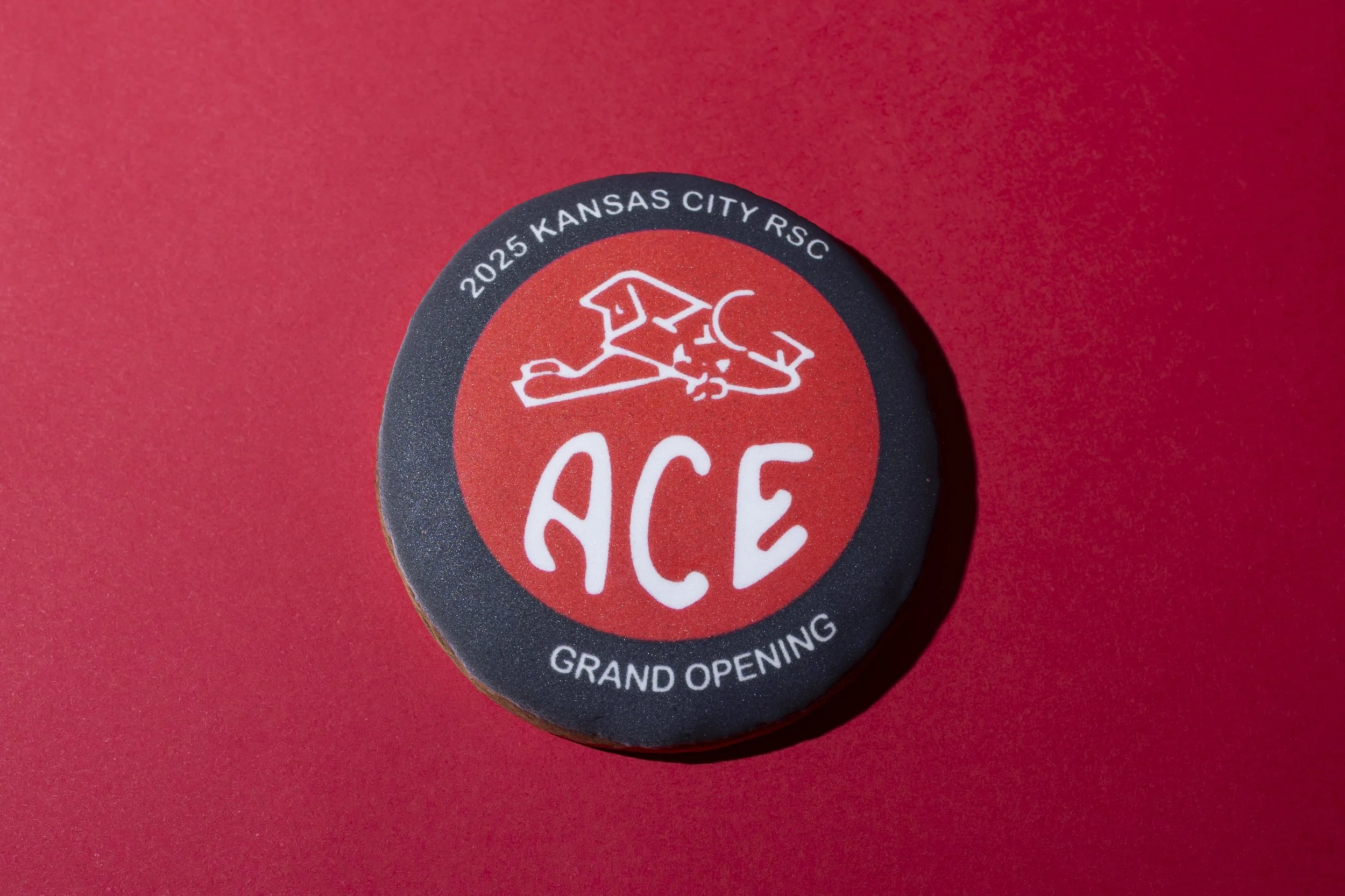 ACEsneakpeeks0063.jpg