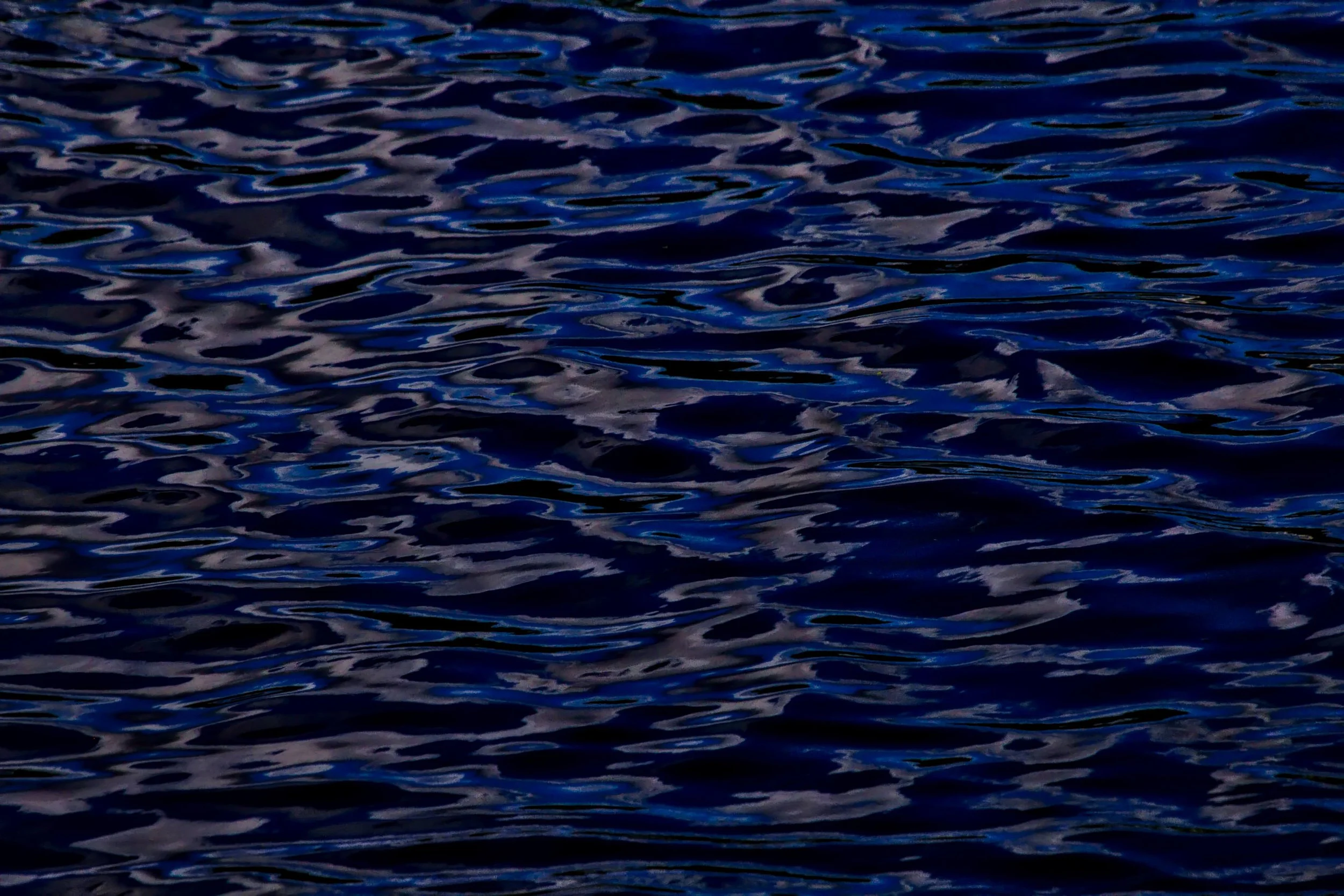 Moonlight on the Miss-a-sip.jpeg