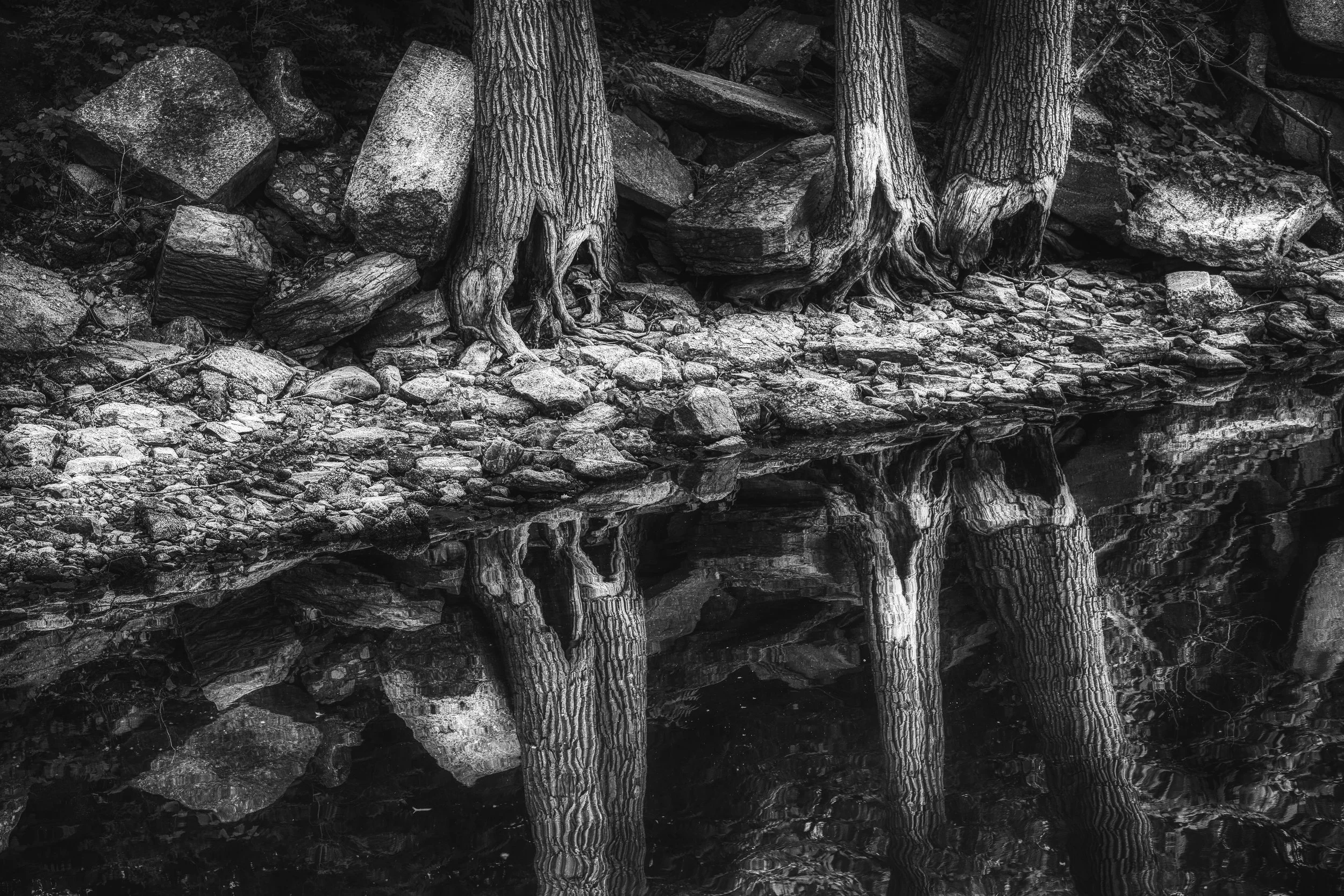 champlain creek b:w copy.jpeg