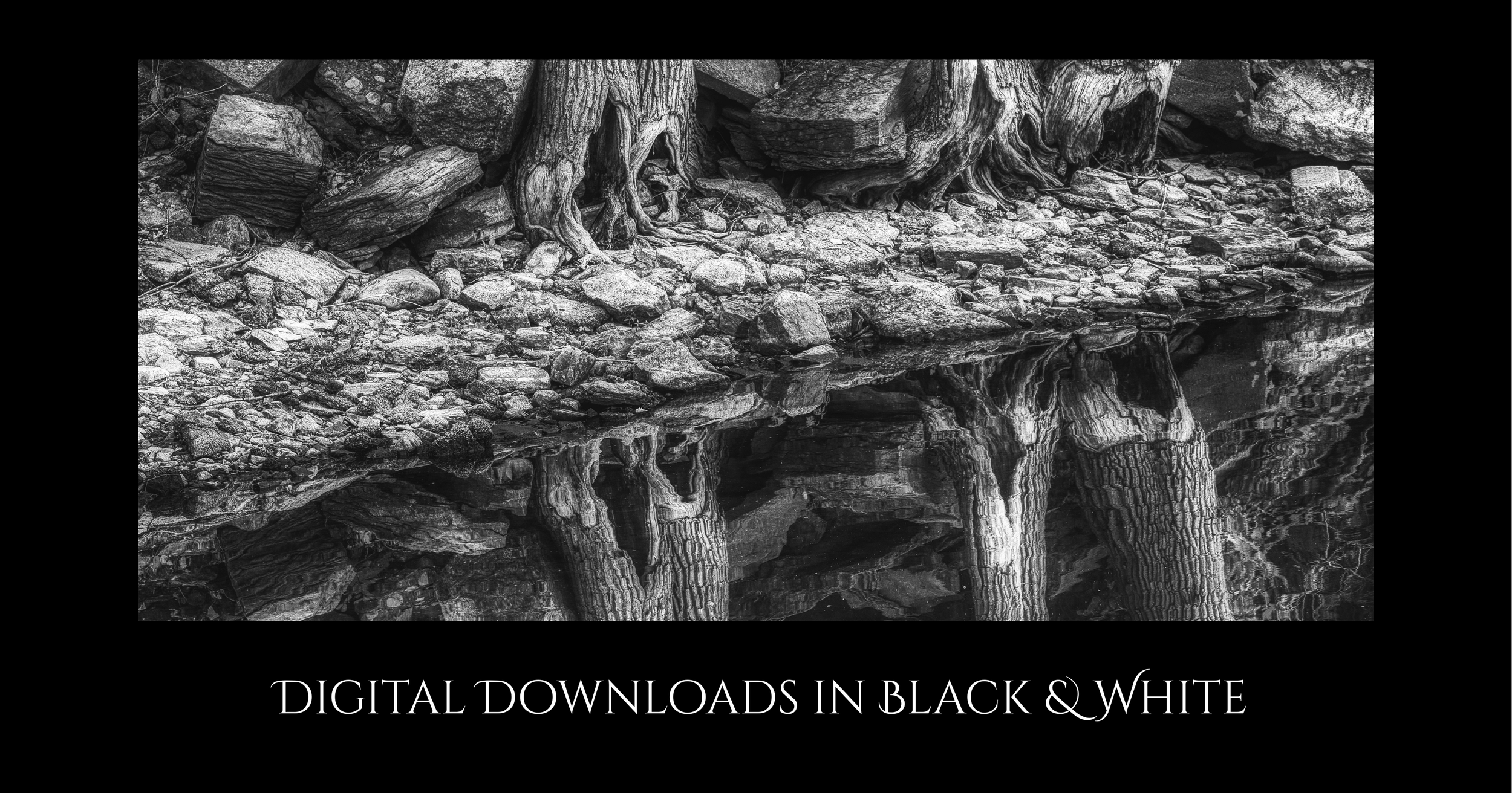 musical instruments digital download cover page-4.png