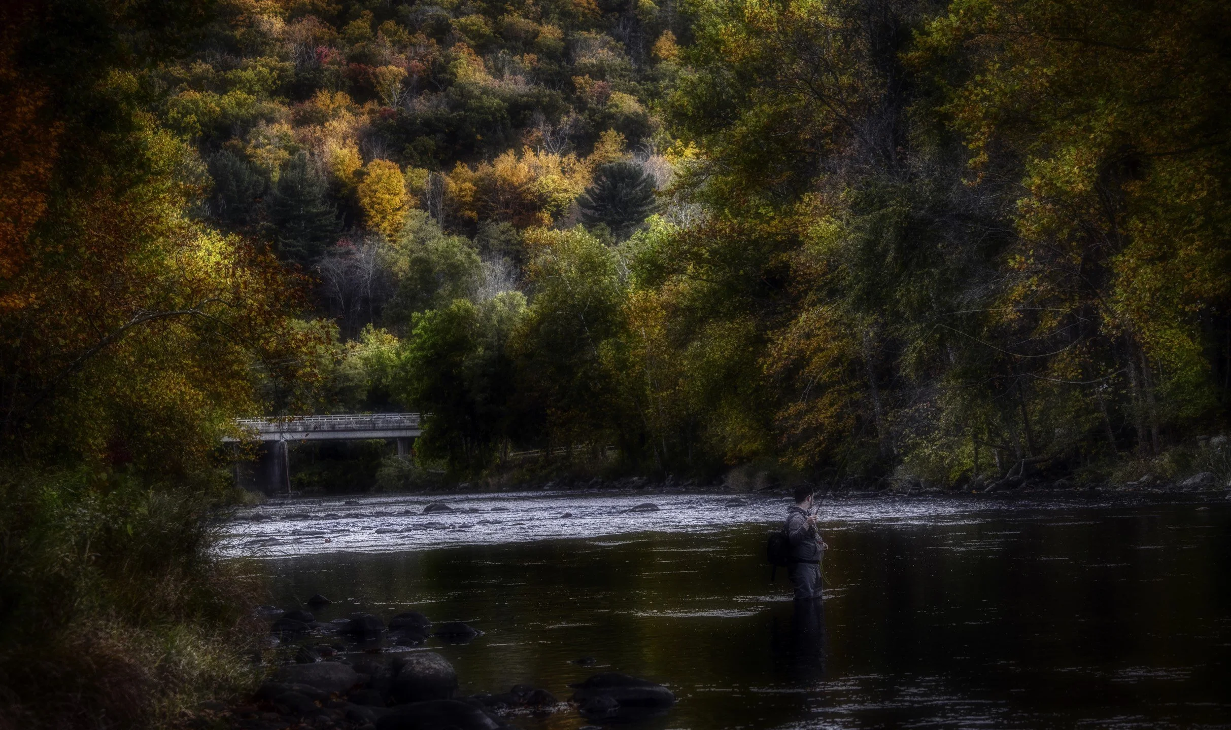 sal wide low rez copy 2.jpeg