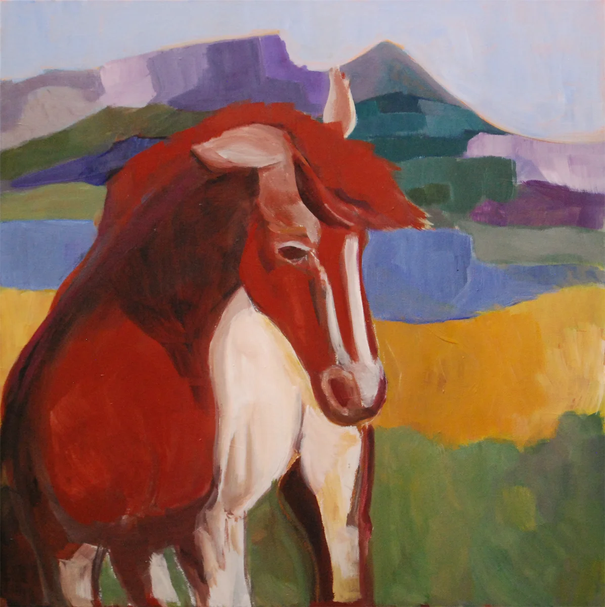 horse.jpg