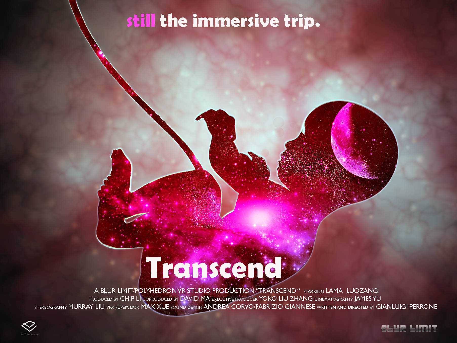 TRANSCEND poster 4.jpg