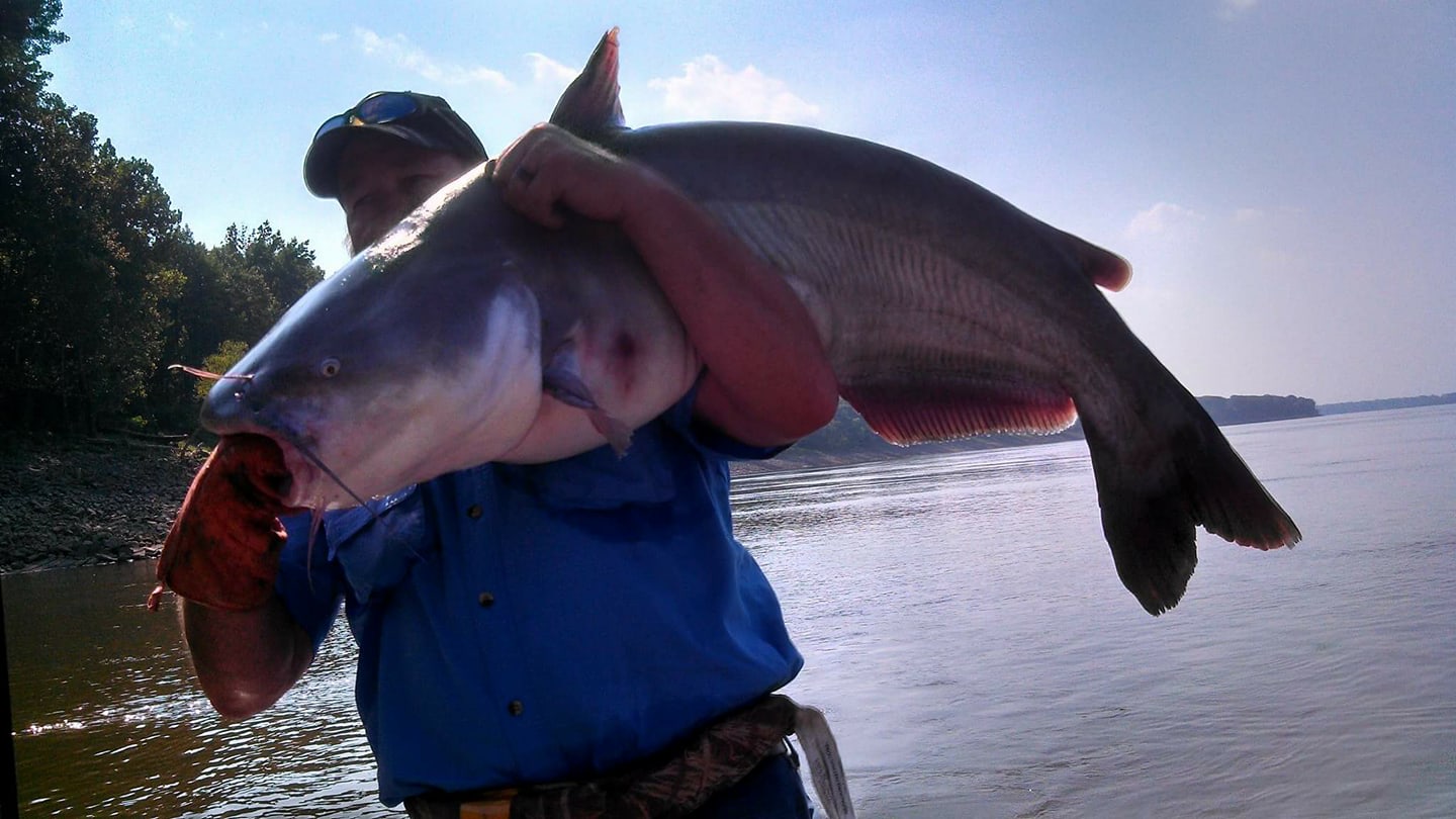 Helena is proud to be a site on the Cabela King Kat Tournament Trail! Hunting and fishing opportunities are plentiful in Phillips County.