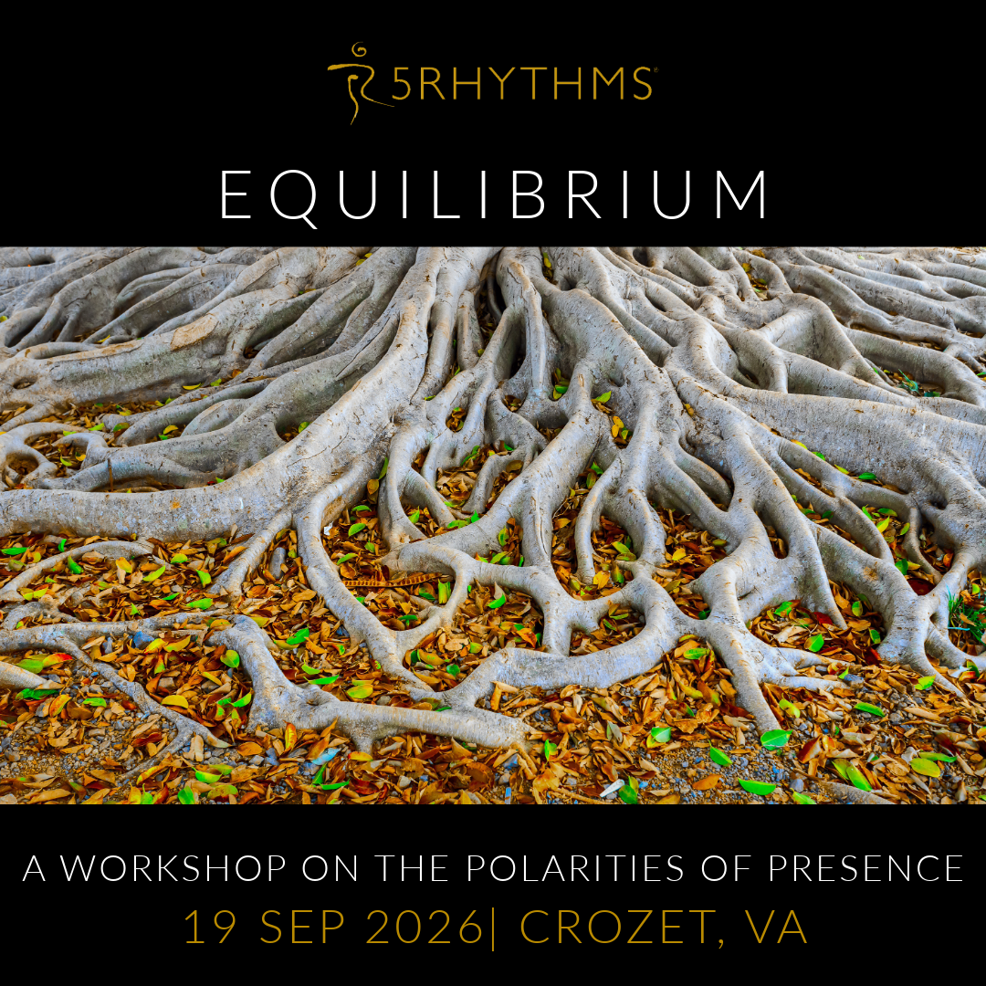 Equilibrium Fall 2026.png