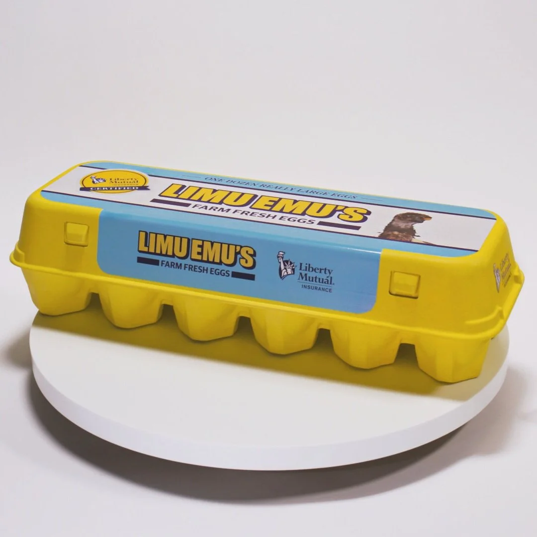 LM-EmuEggCarton-Closed.jpg