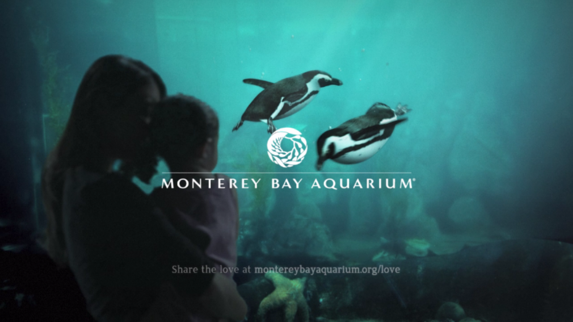 Monterey Bay Aquarium - Broadcast & Web