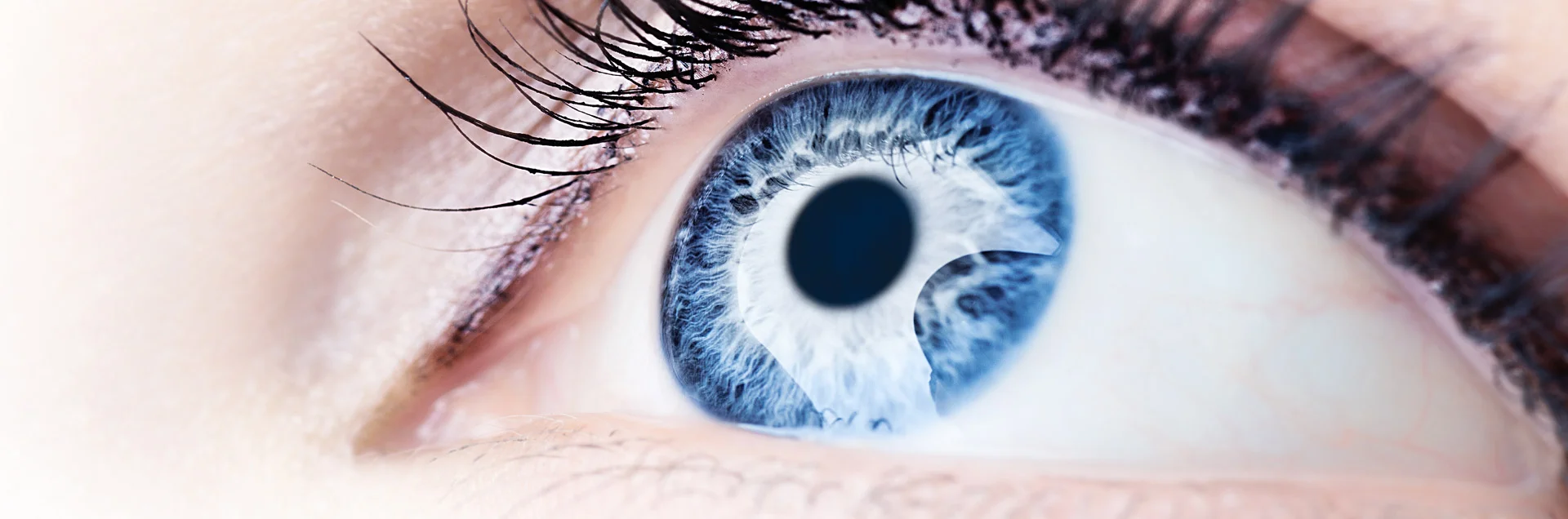 header-1-Ocular-Disease.jpg